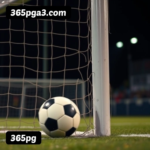 Requisitos do APK da 365pg para Android